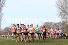 Leaders in the senior mens Inter Counties Cross Country, Cofton Park, Birmingham. Photo: David T. Hewitson/Sports for All Pics